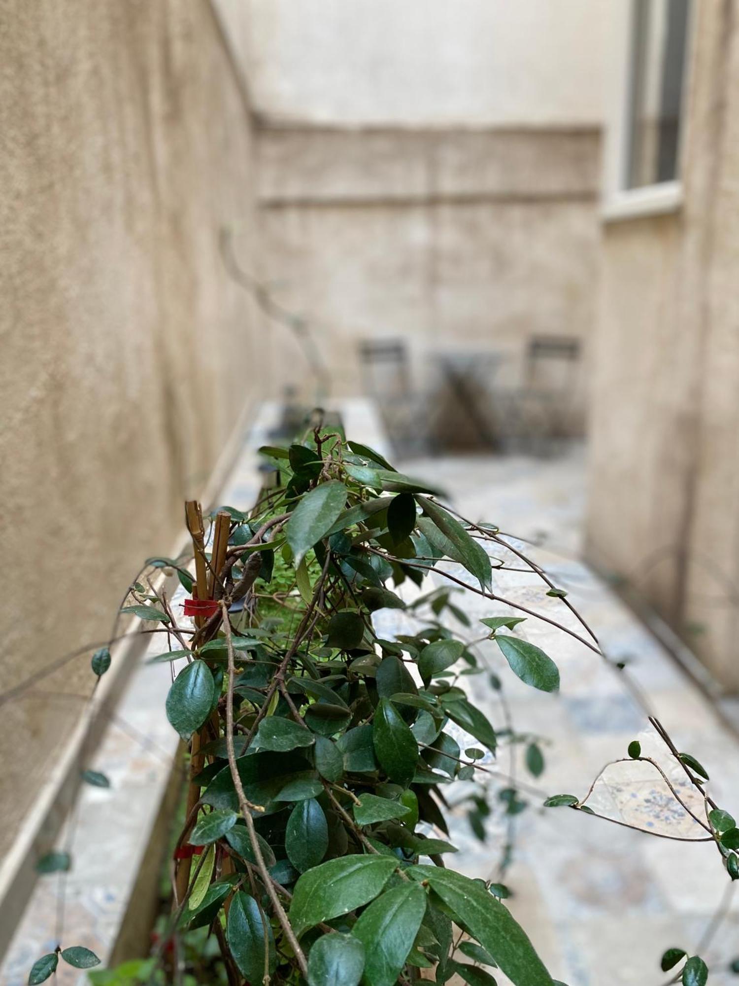 A Place 4 U Below Acropolis Apartment Atena Exterior foto